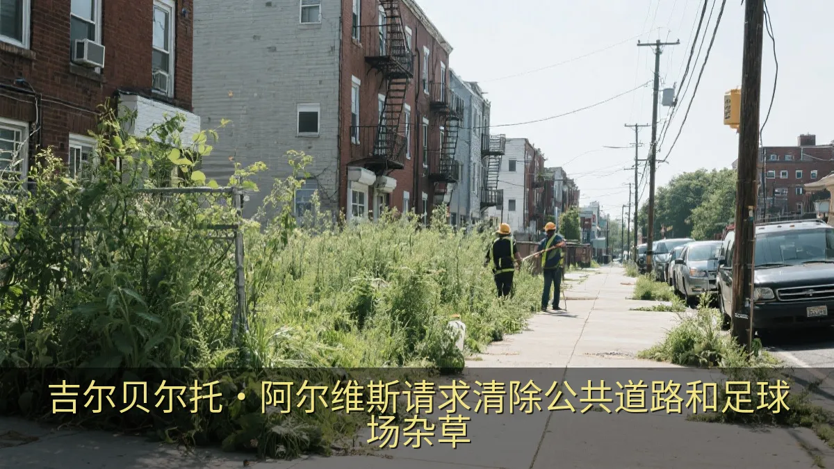 吉尔贝尔托·阿尔维斯请求清除公共道路和足球场杂草